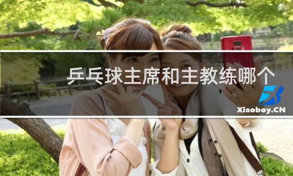乒乓球主席和主教练哪个大图片