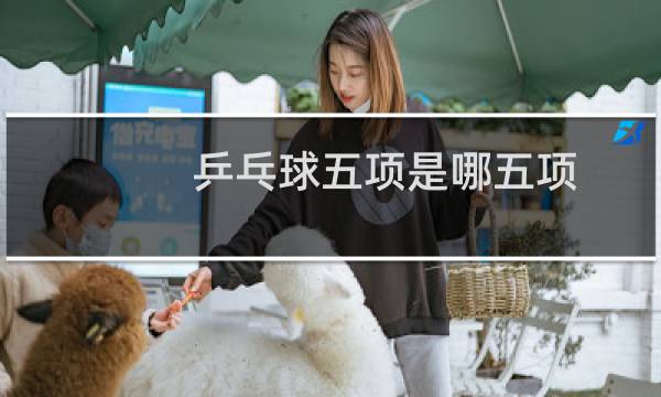 乒乓球五项是哪五项图片