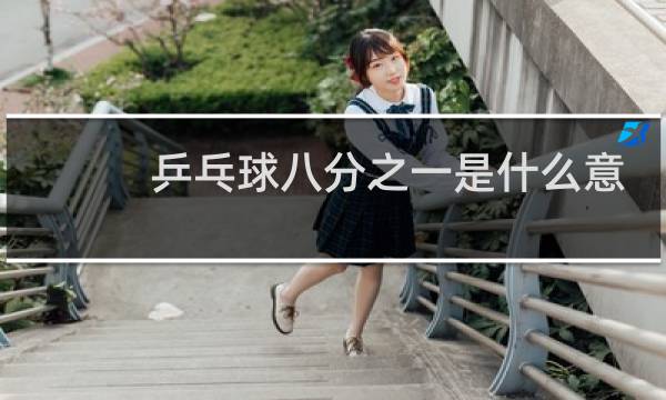 乒乓球八分之一是什么意思图片