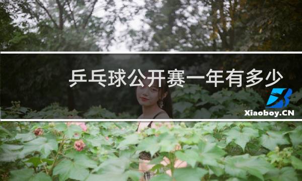 乒乓球公开赛一年有多少项目图片