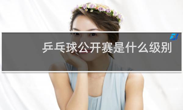 乒乓球公开赛是什么级别图片