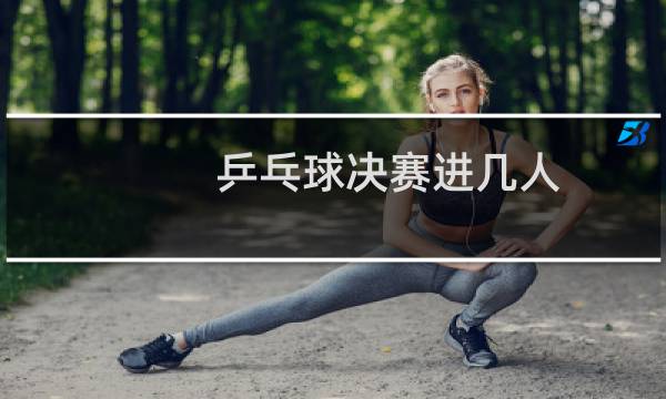 乒乓球决赛进几人图片