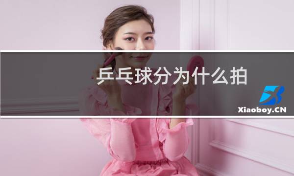 乒乓球分为什么拍图片