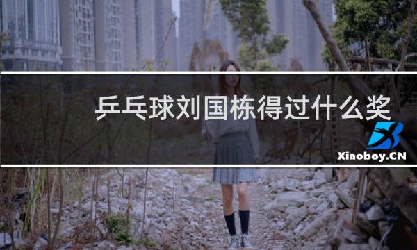 乒乓球刘国栋得过什么奖图片