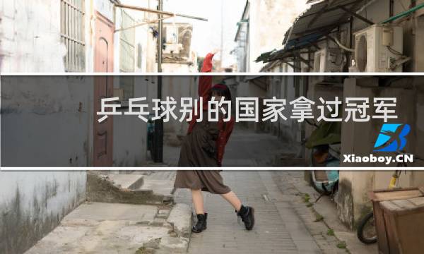 乒乓球别的国家拿过冠军吗图片