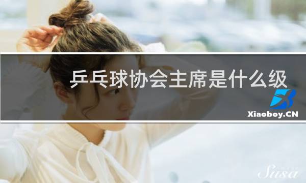 乒乓球协会主席是什么级别干部图片