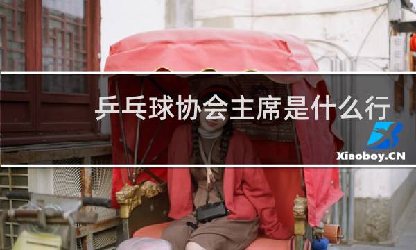 乒乓球协会主席是什么行政级别图片