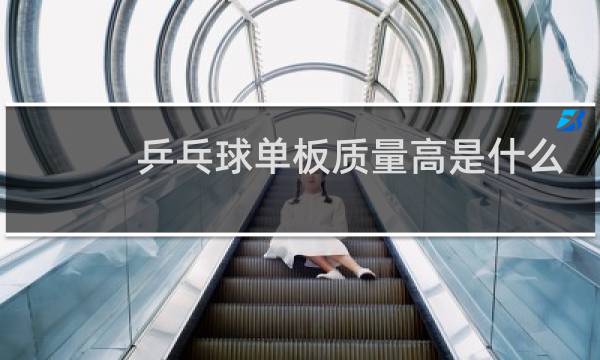 乒乓球单板质量高是什么意思图片