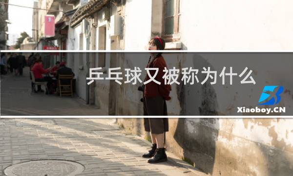 乒乓球又被称为什么图片
