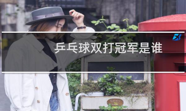 乒乓球双打冠军是谁图片
