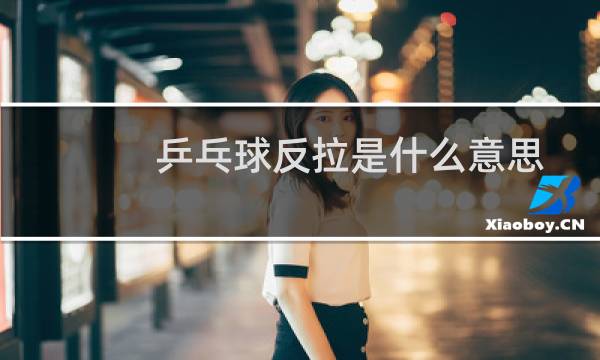 乒乓球反拉是什么意思图片