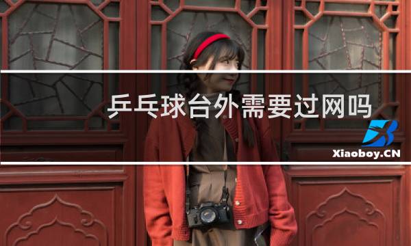 乒乓球台外需要过网吗图片