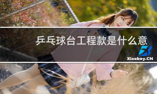乒乓球台工程款是什么意思图片