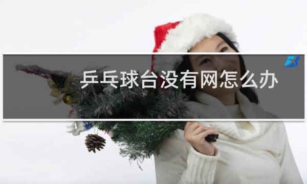 乒乓球台没有网怎么办图片
