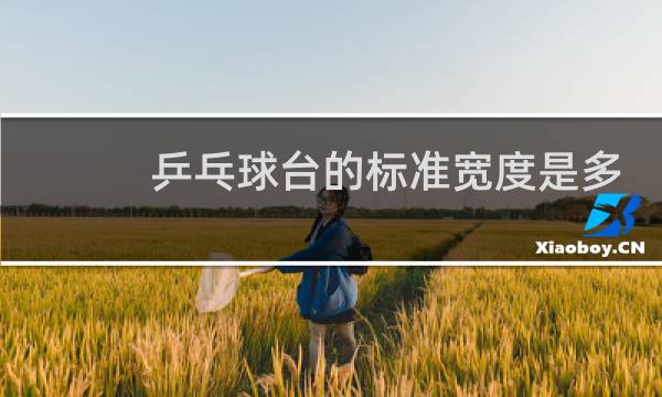 乒乓球台的标准宽度是多少图片