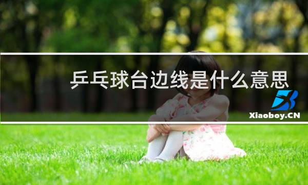 乒乓球台边线是什么意思图片
