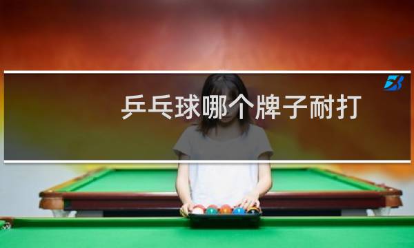 乒乓球哪个牌子耐打图片