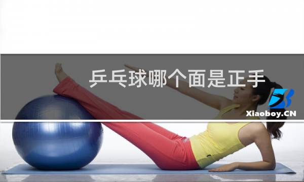 乒乓球哪个面是正手图片