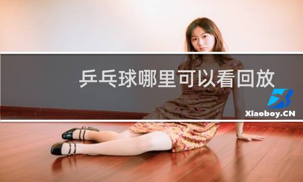 乒乓球哪里可以看回放图片