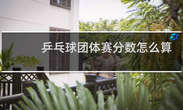 乒乓球团体赛分数怎么算图片