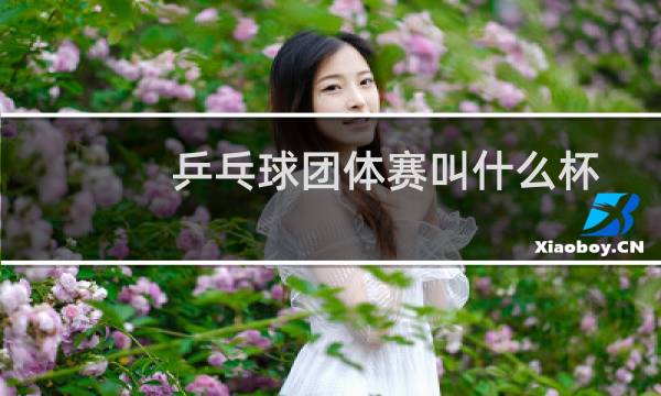 乒乓球团体赛叫什么杯图片