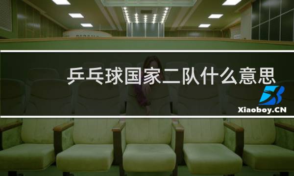 乒乓球国家二队什么意思图片
