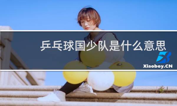 乒乓球国少队是什么意思图片