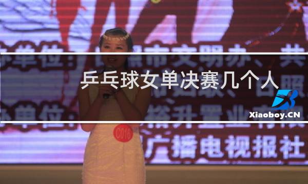 乒乓球女单决赛几个人图片