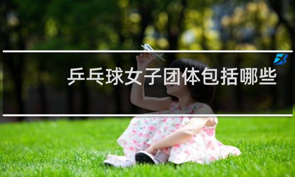 乒乓球女子团体包括哪些比赛图片