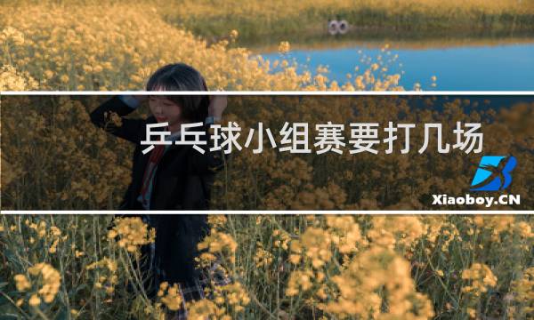 乒乓球小组赛要打几场图片