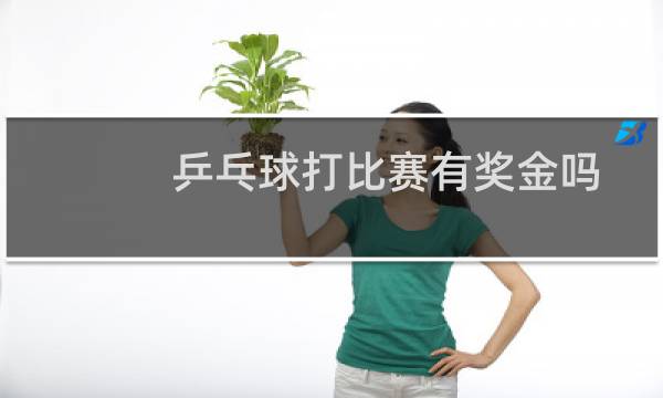 乒乓球打比赛有奖金吗图片