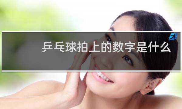 乒乓球拍上的数字是什么意思图片
