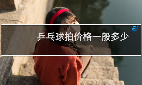 乒乓球拍价格一般多少图片