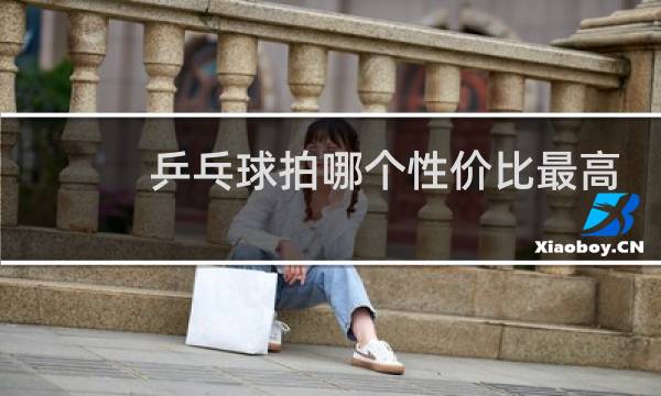 乒乓球拍哪个性价比最高图片