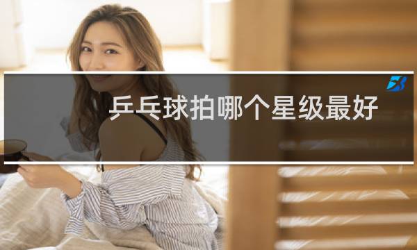乒乓球拍哪个星级最好图片