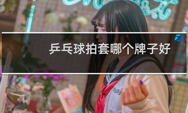 乒乓球拍套哪个牌子好图片