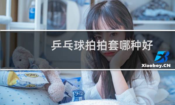 乒乓球拍拍套哪种好图片