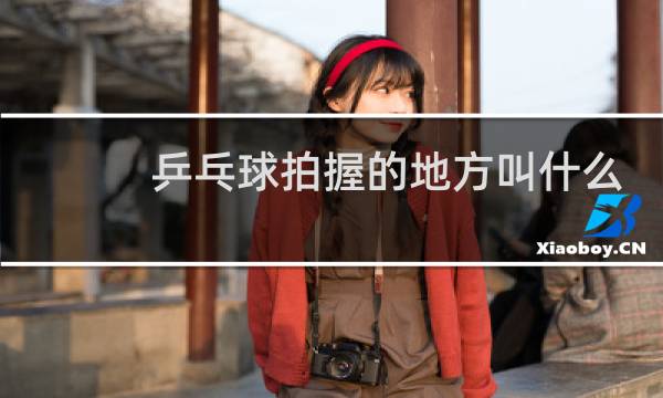 乒乓球拍握的地方叫什么图片