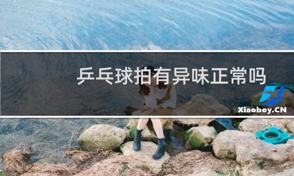 乒乓球拍有异味正常吗图片