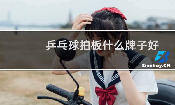 乒乓球拍板什么牌子好图片