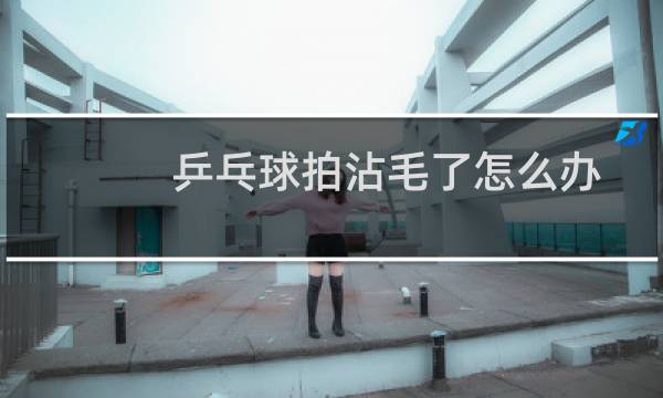 乒乓球拍沾毛了怎么办图片