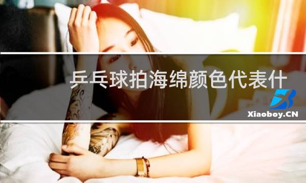 乒乓球拍海绵颜色代表什么图片