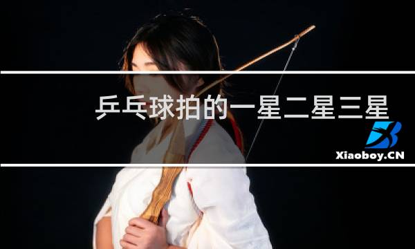 乒乓球拍的一星二星三星等是什么意思图片