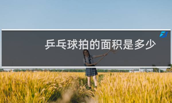 乒乓球拍的面积是多少图片