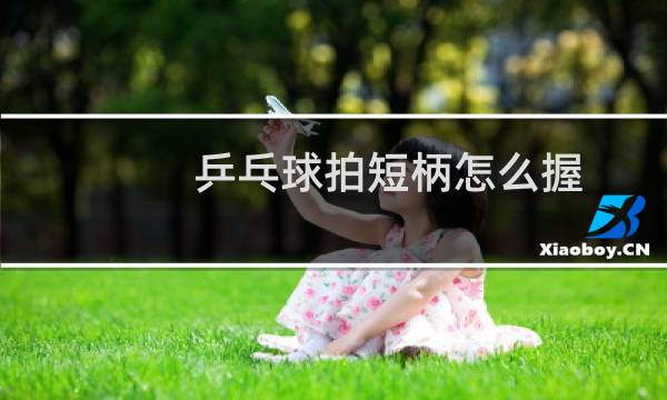 乒乓球拍短柄怎么握图片