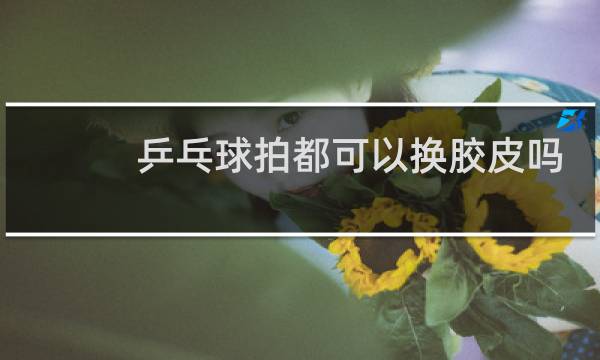 乒乓球拍都可以换胶皮吗图片