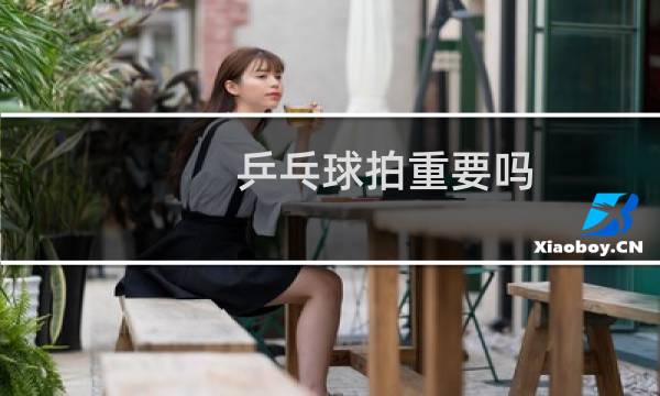 乒乓球拍重要吗图片