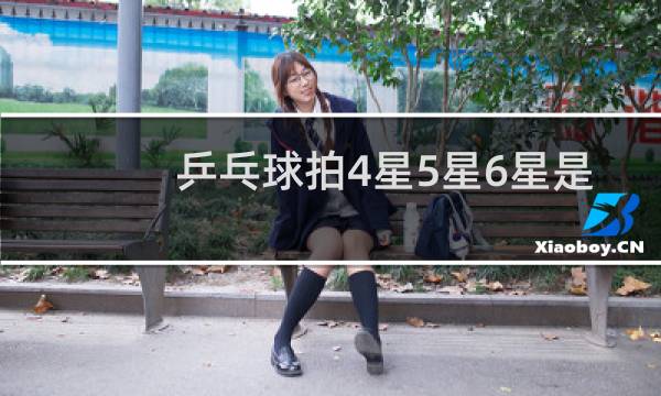 乒乓球拍4星5星6星是什么意思图片