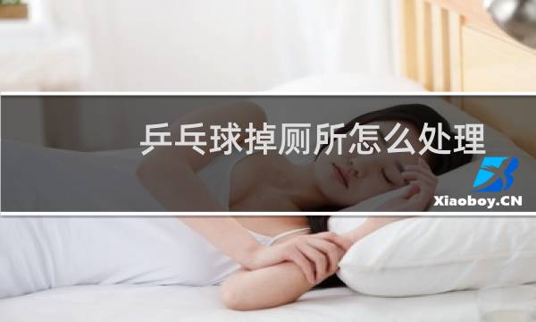 乒乓球掉厕所怎么处理图片