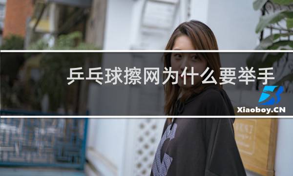乒乓球擦网为什么要举手图片